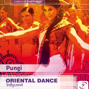 Pungi