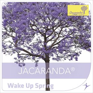 Wake Up Spring